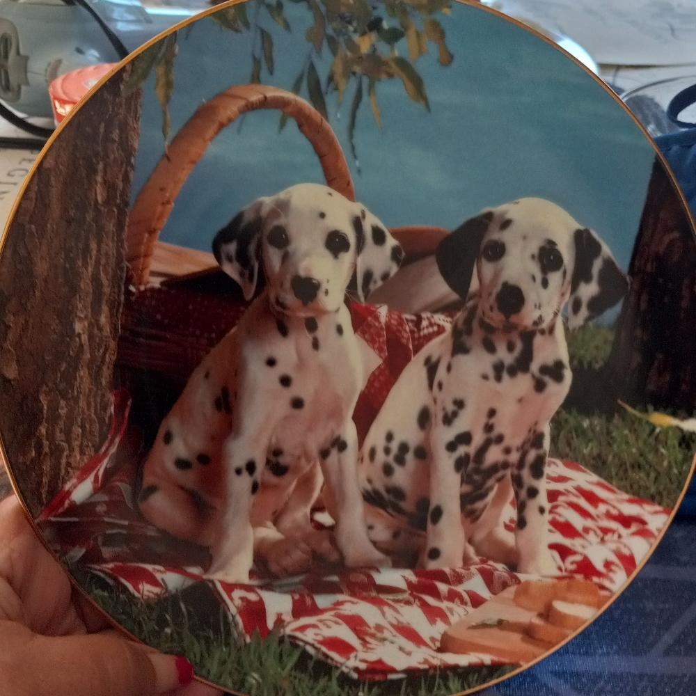 The Hamilton Collection plates